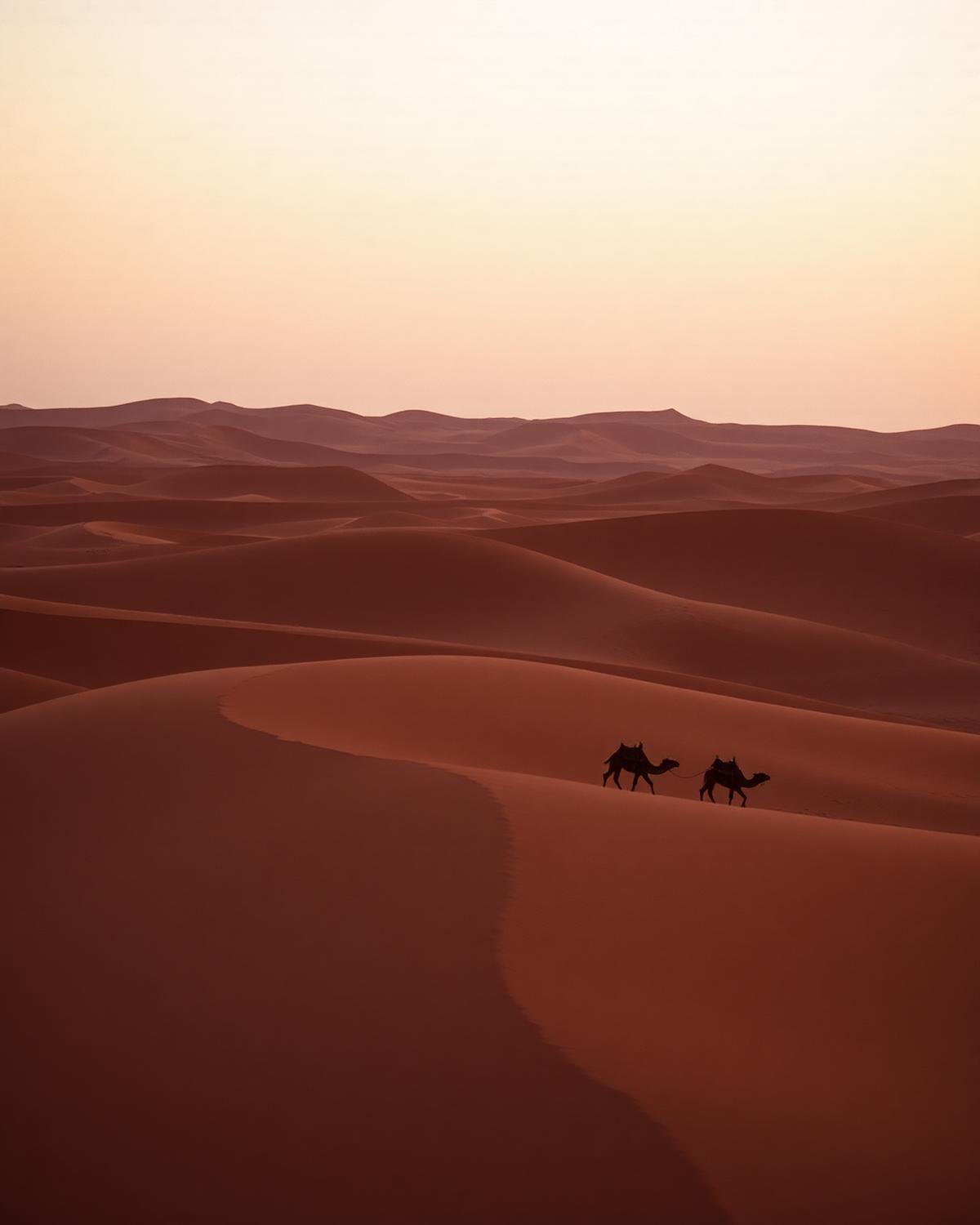 Sahara Nomad Trail